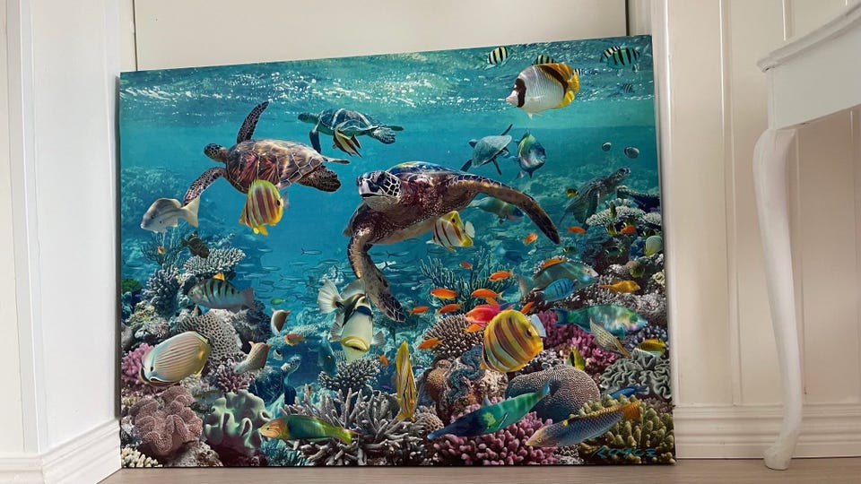 Galleribild