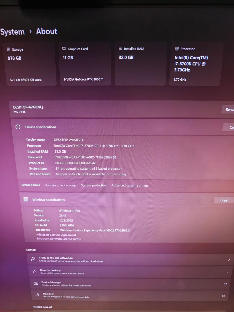 Galleribild