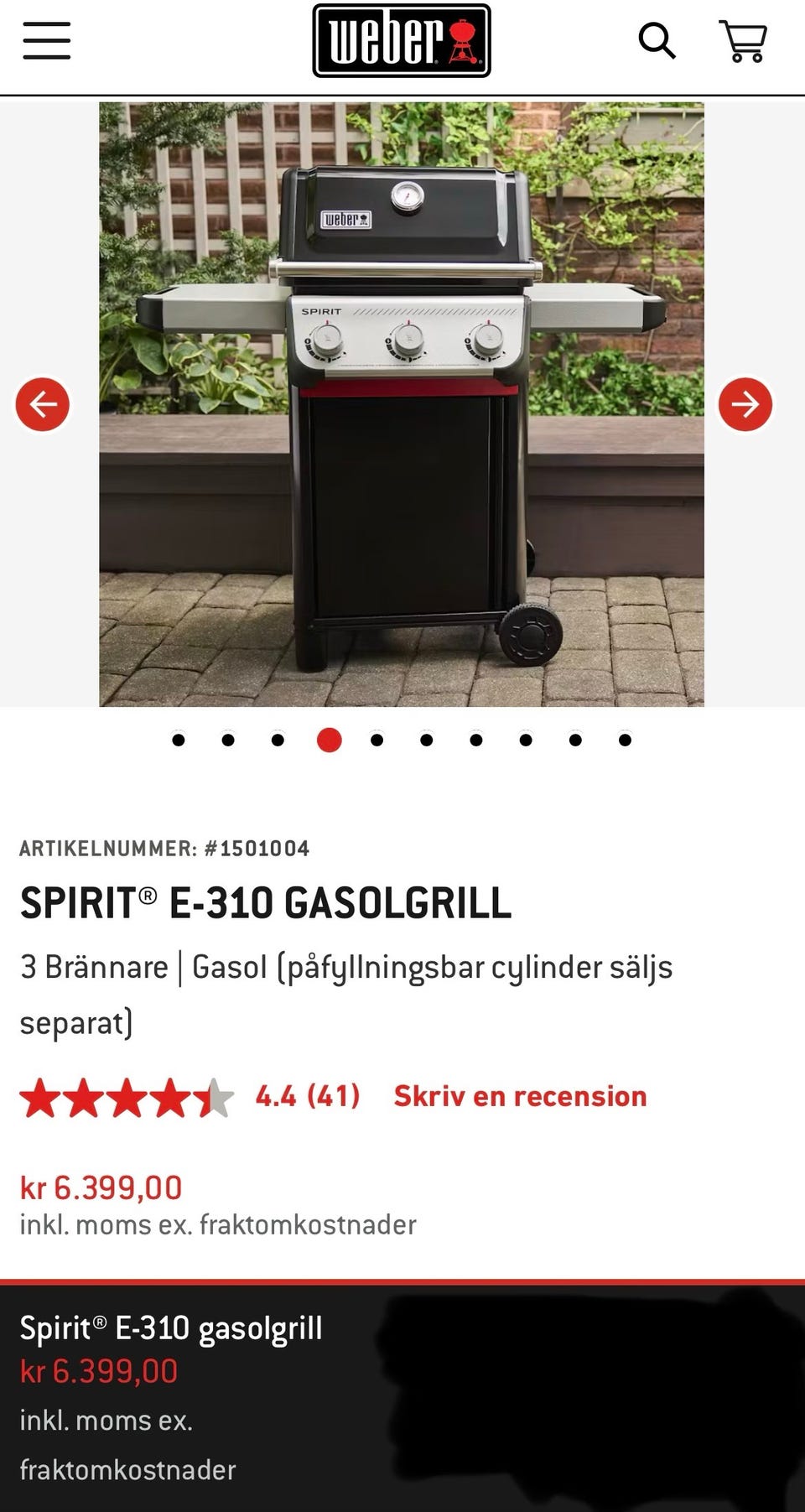 Galleribild