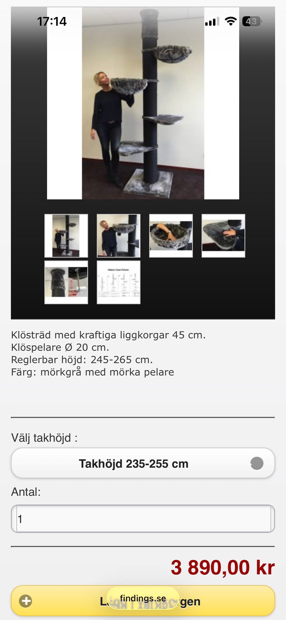 Galleribild