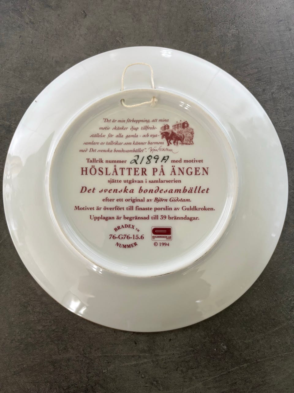 Galleribild