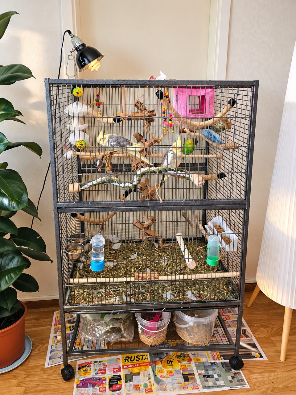 Galleribild