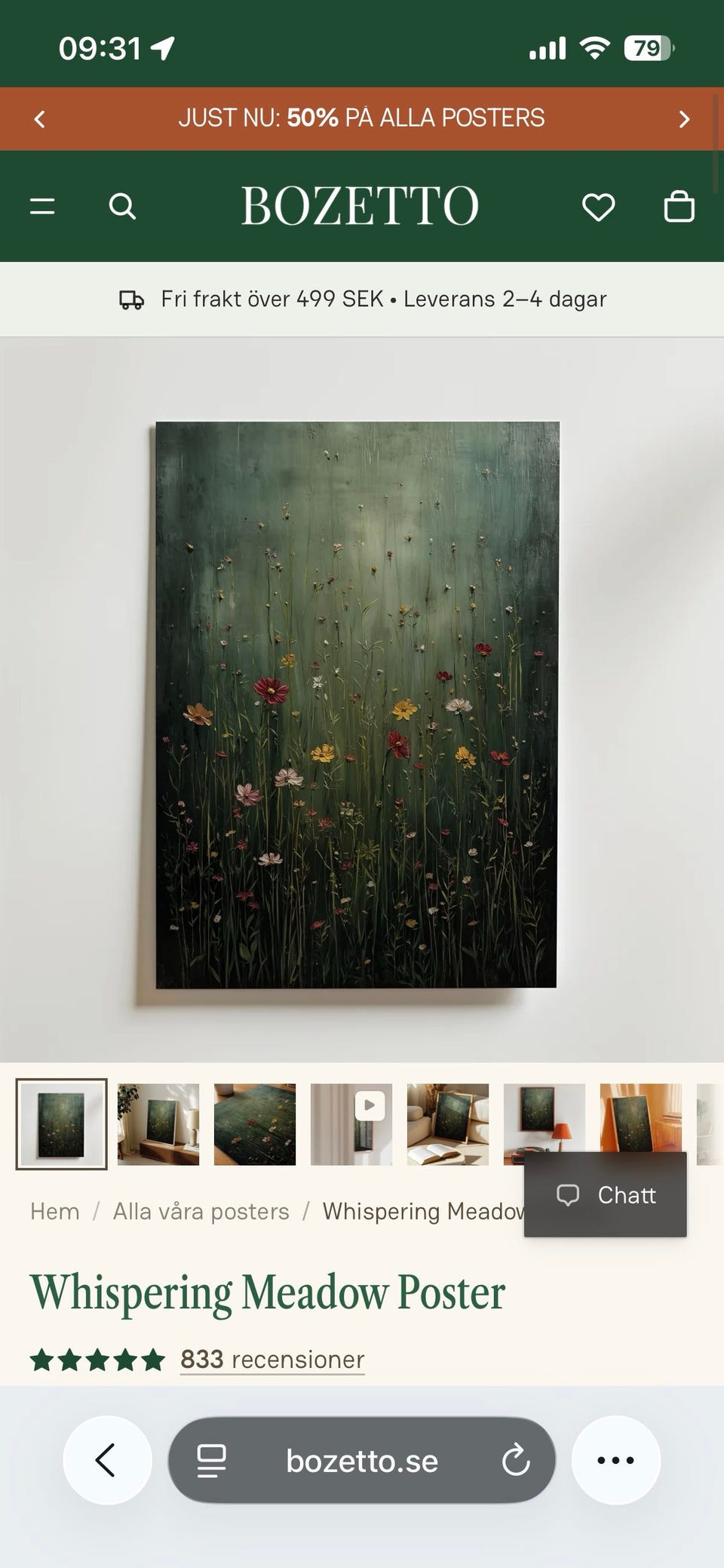 Galleribild