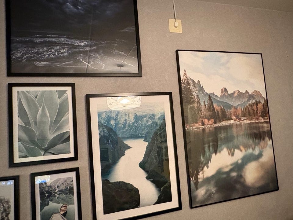 Galleribild