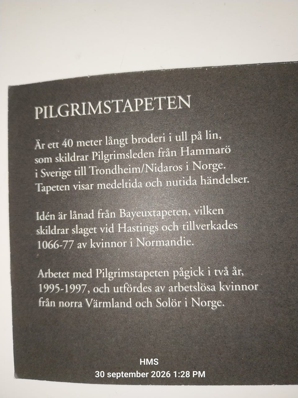 Galleribild