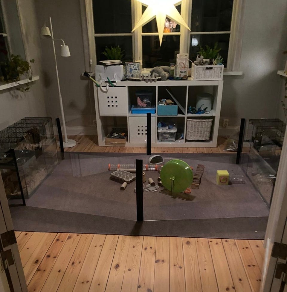 Galleribild
