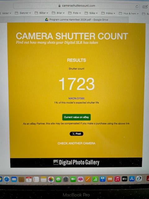 Galleribild