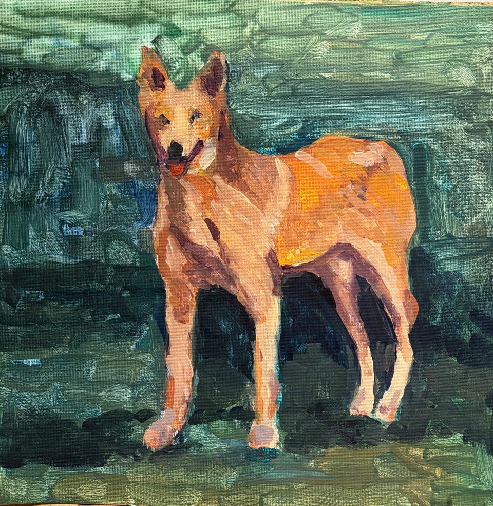 Galleribild