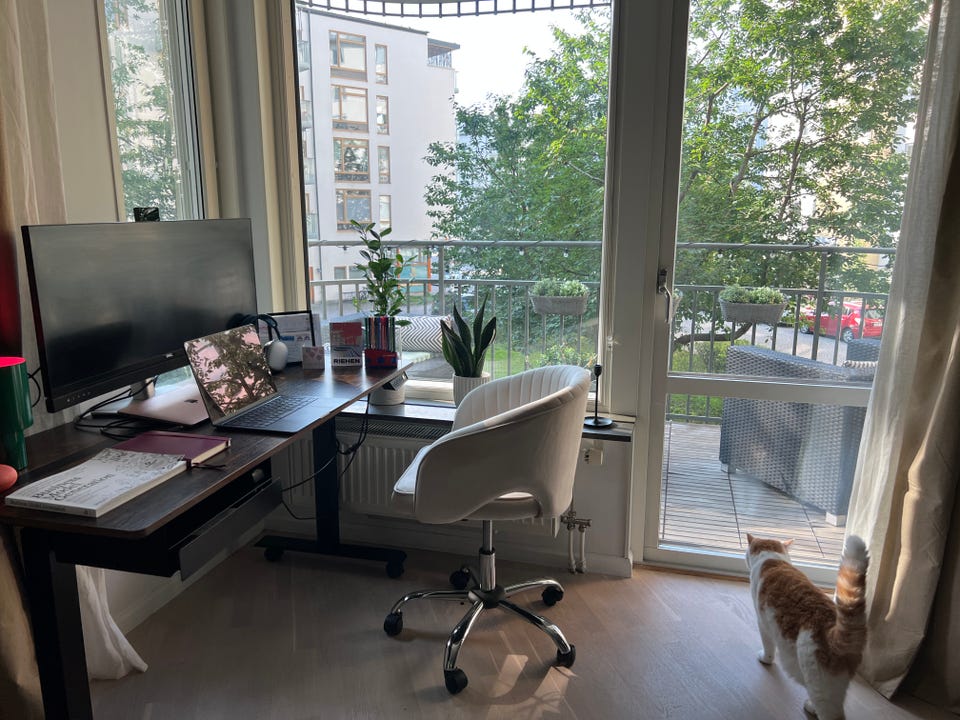 Galleribild