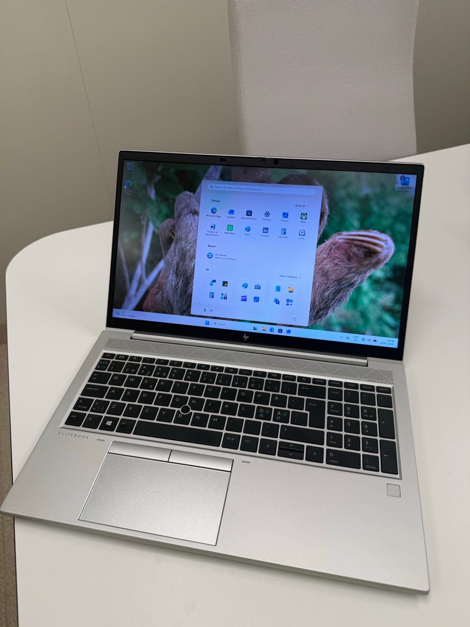 Galleribild