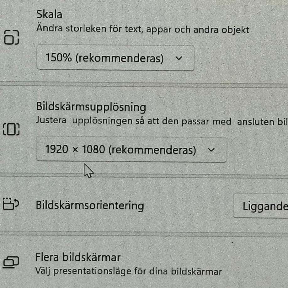 Galleribild
