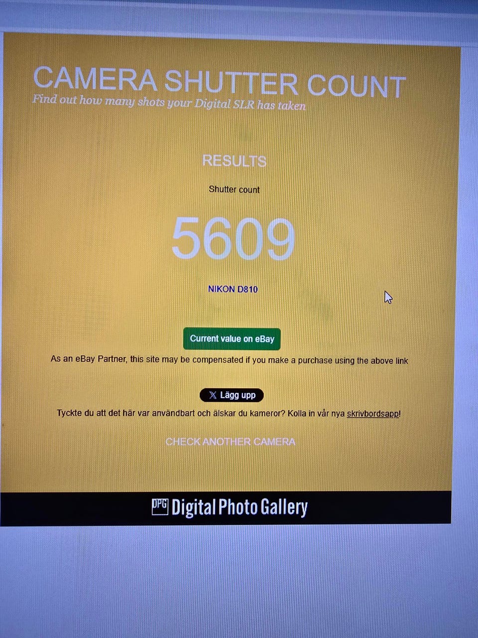Galleribild