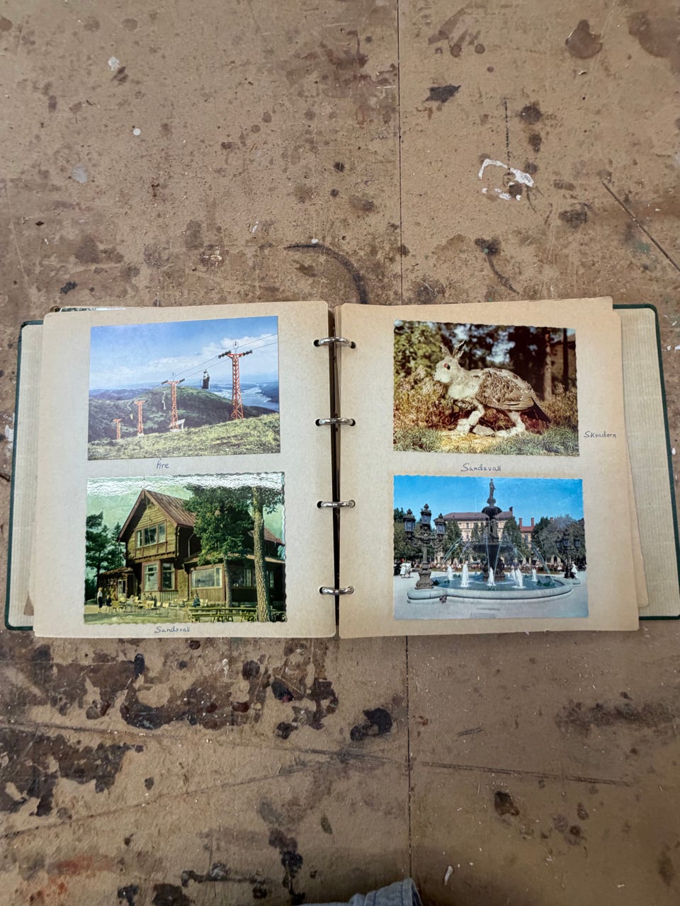 Galleribild