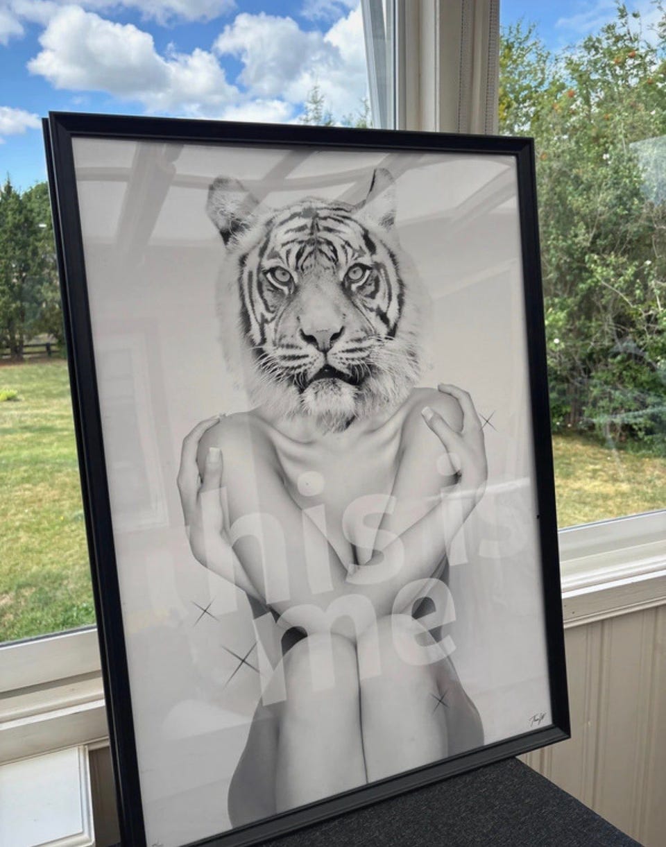 Galleribild