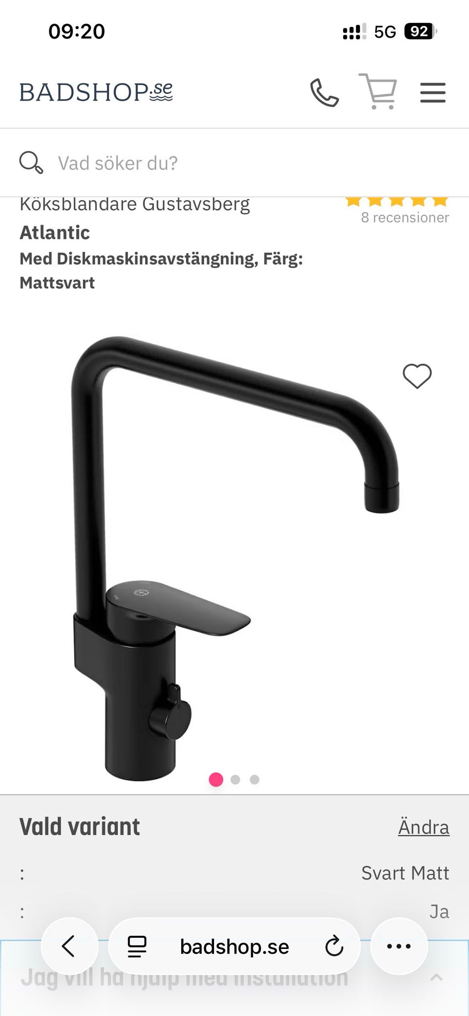 Galleribild