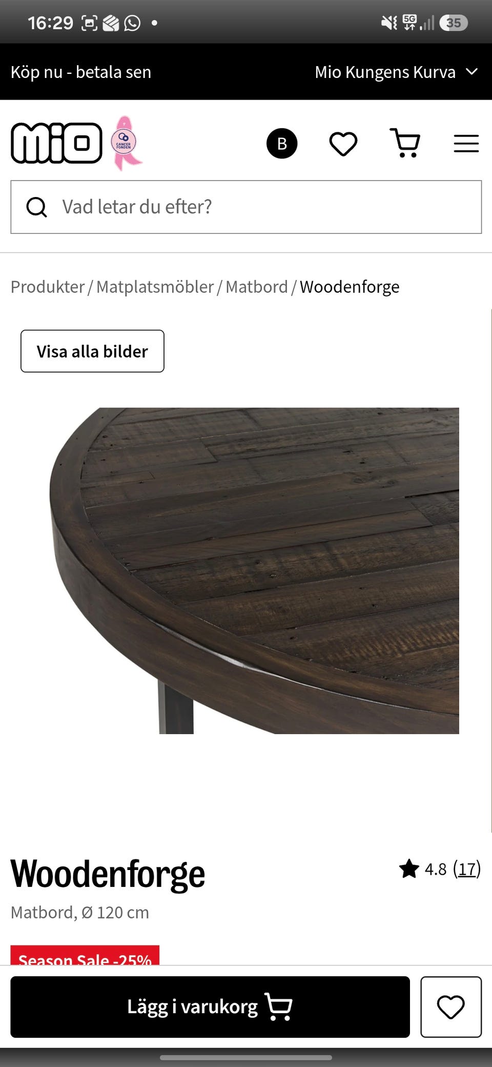 Galleribild