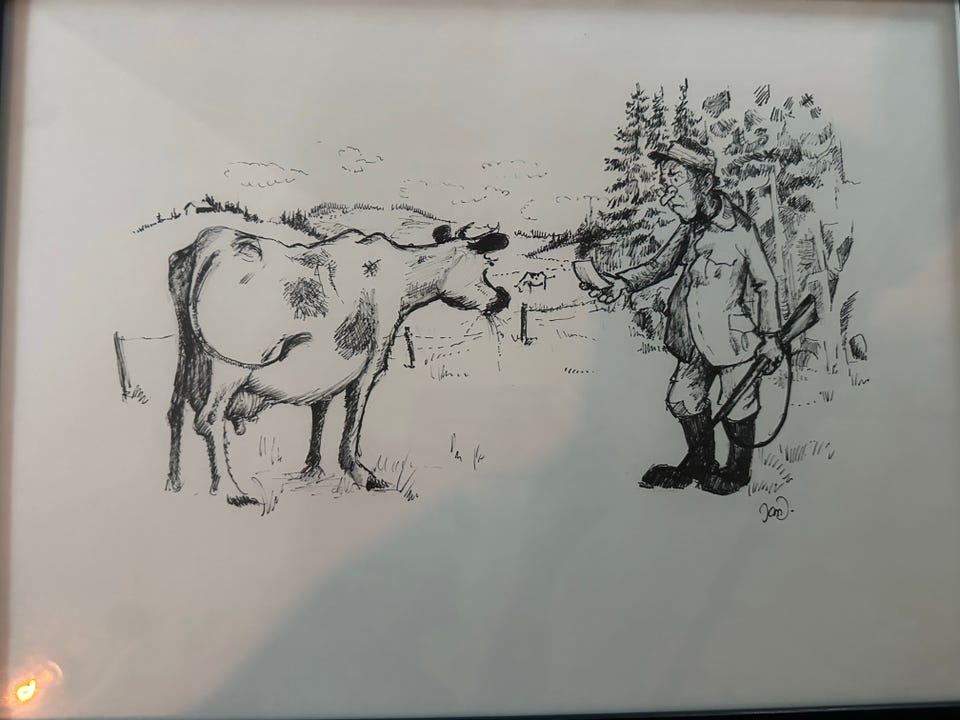 Galleribild