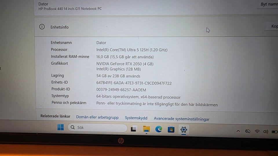 Galleribild