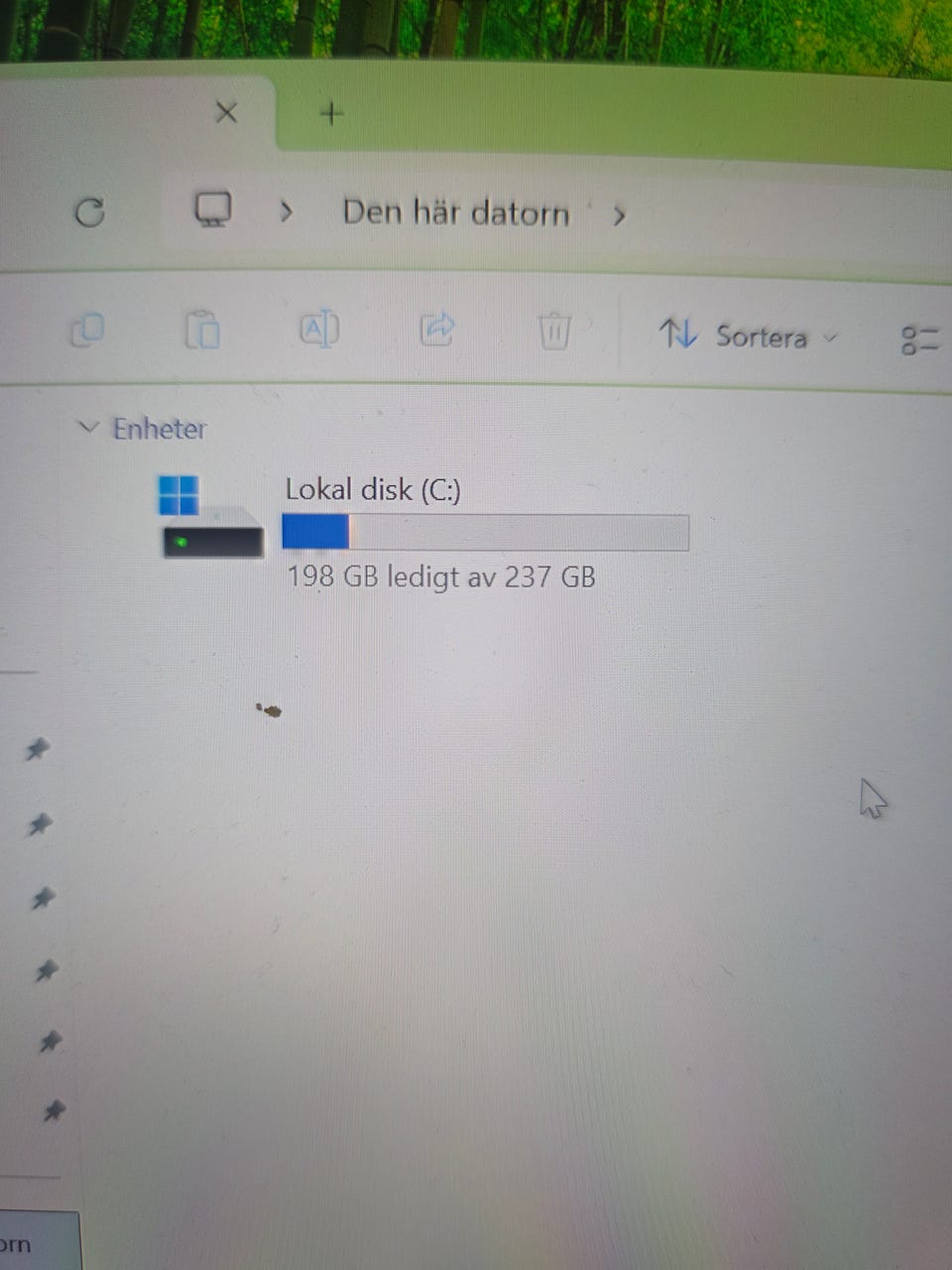 Galleribild