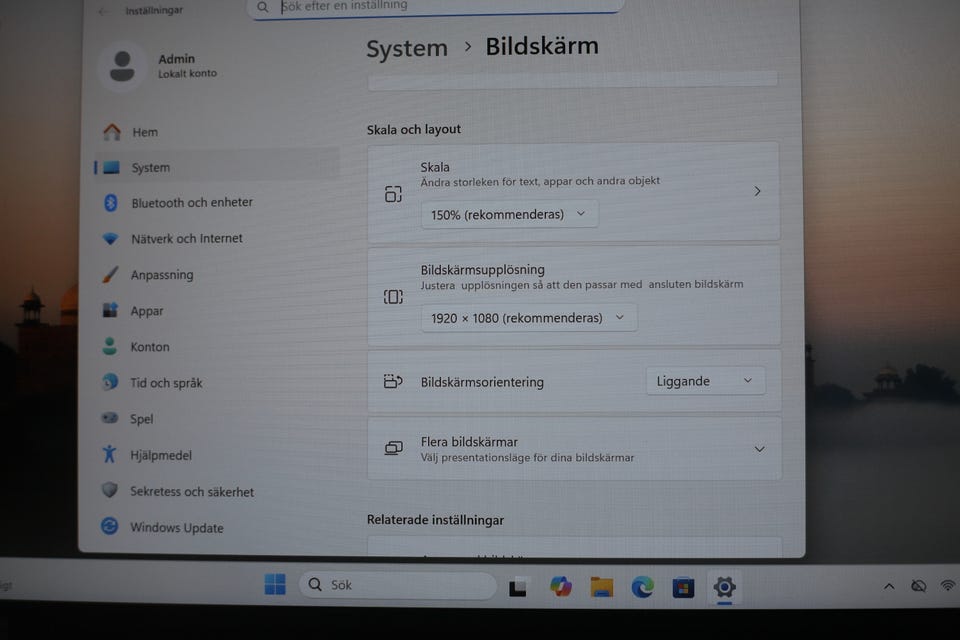 Galleribild