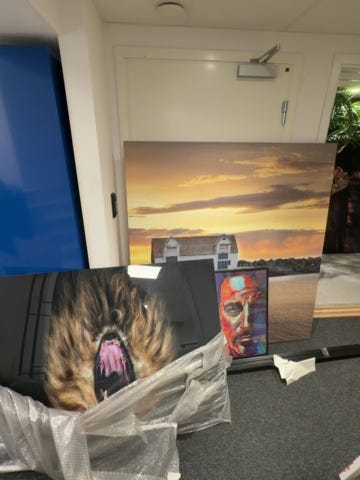 Galleribild