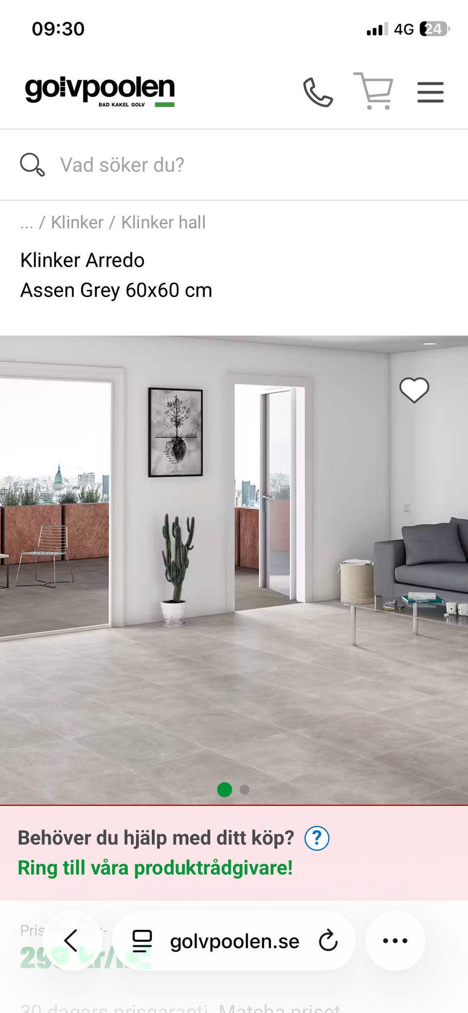Galleribild