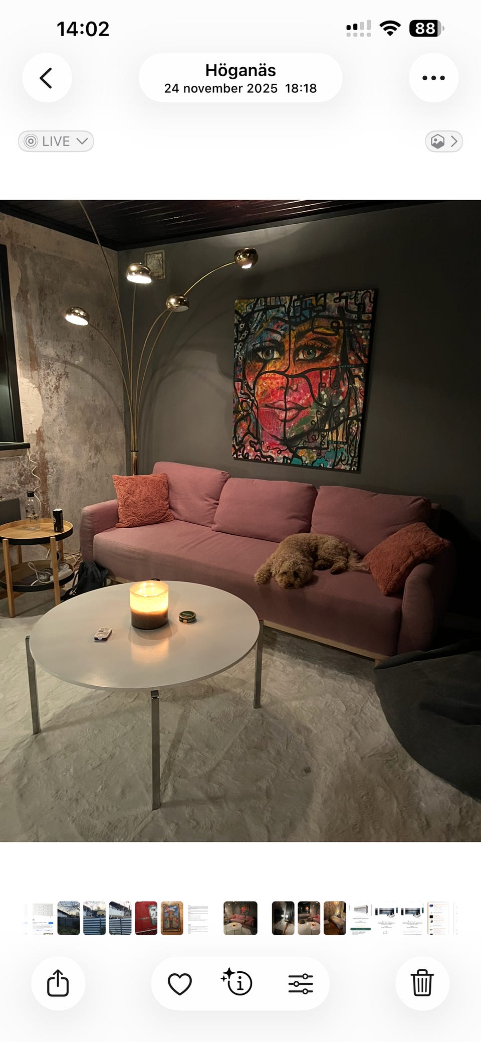 Galleribild