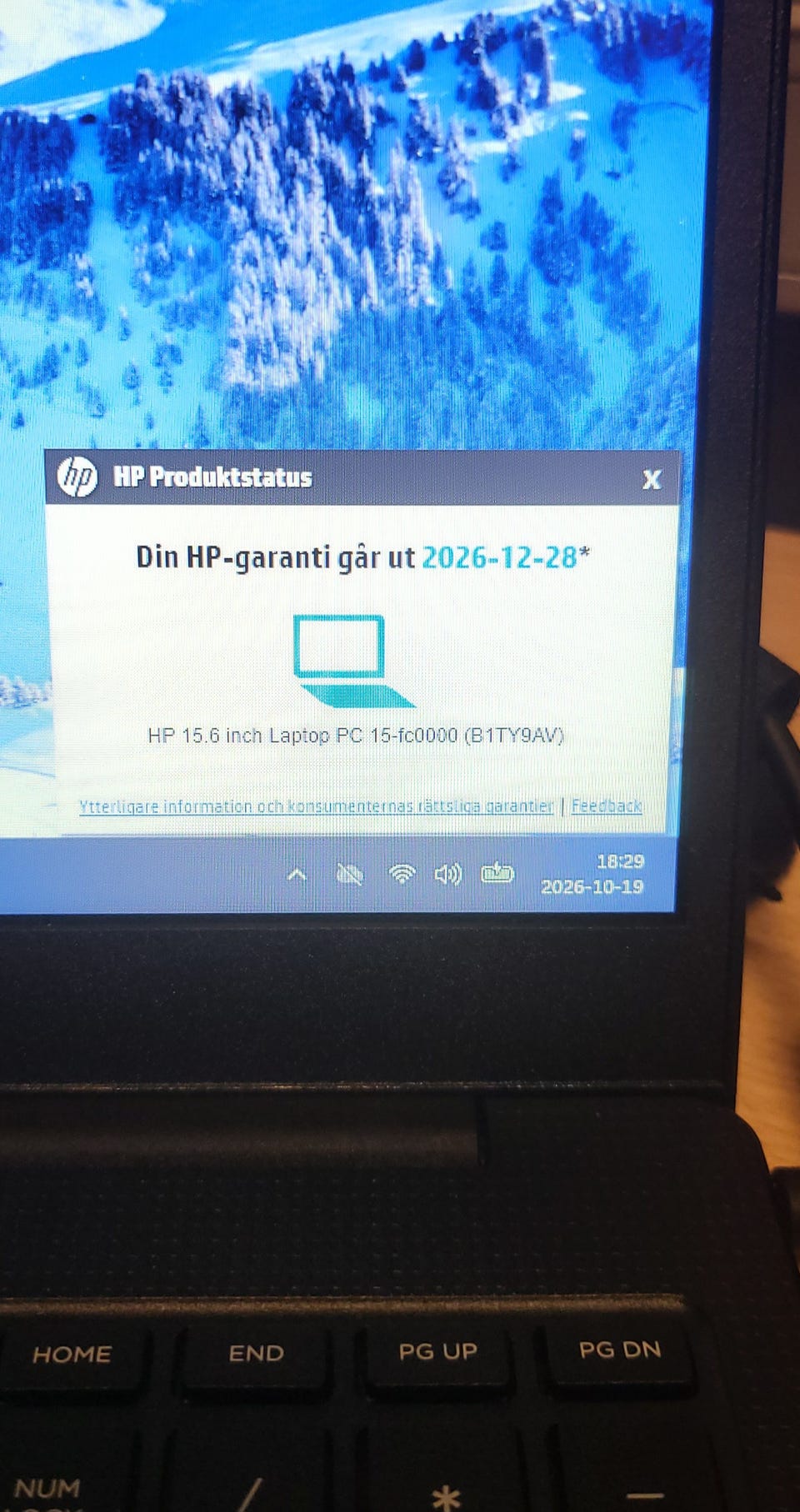 Galleribild