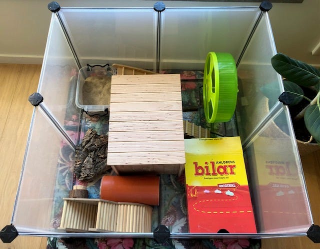 Galleribild