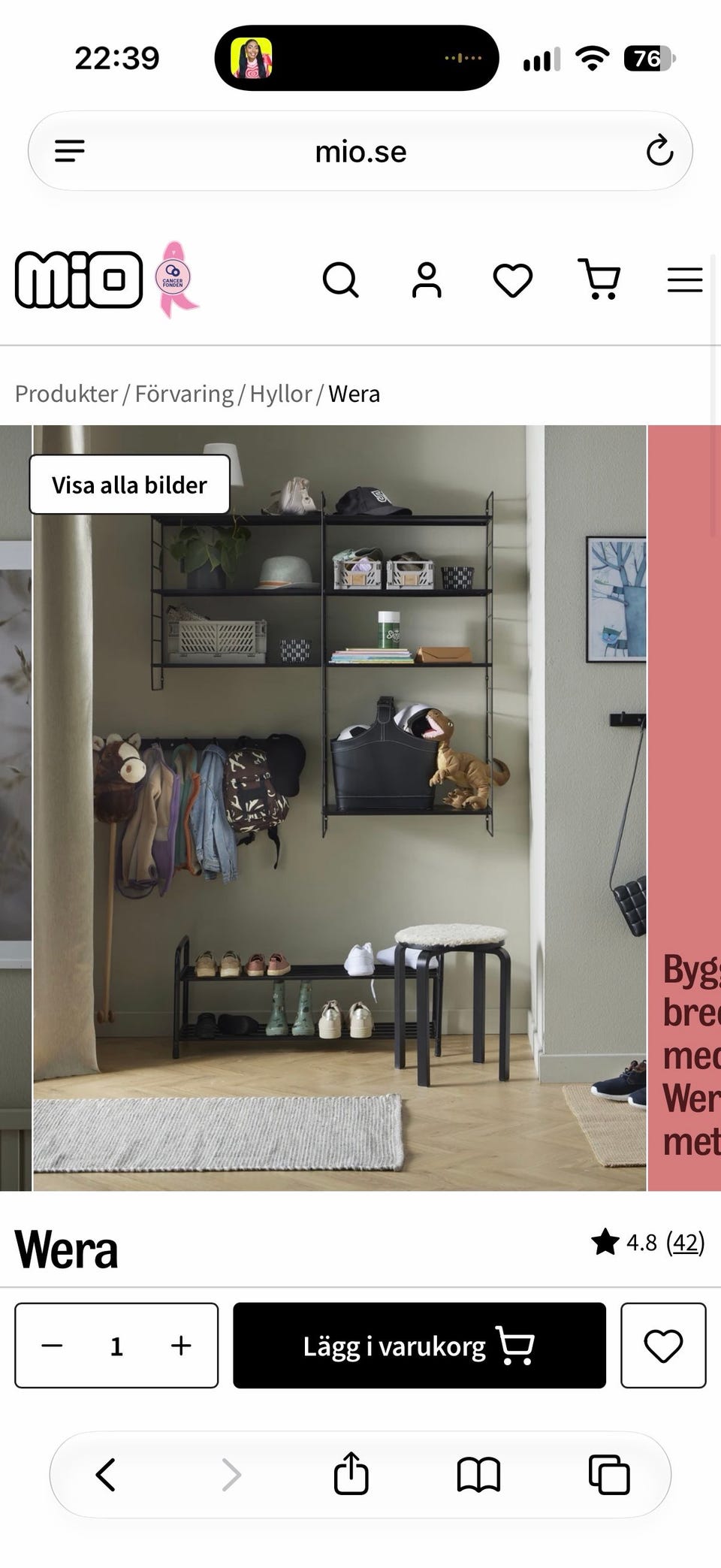 Galleribild