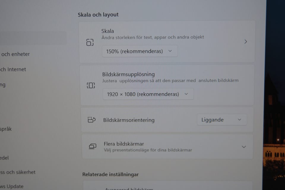 Galleribild