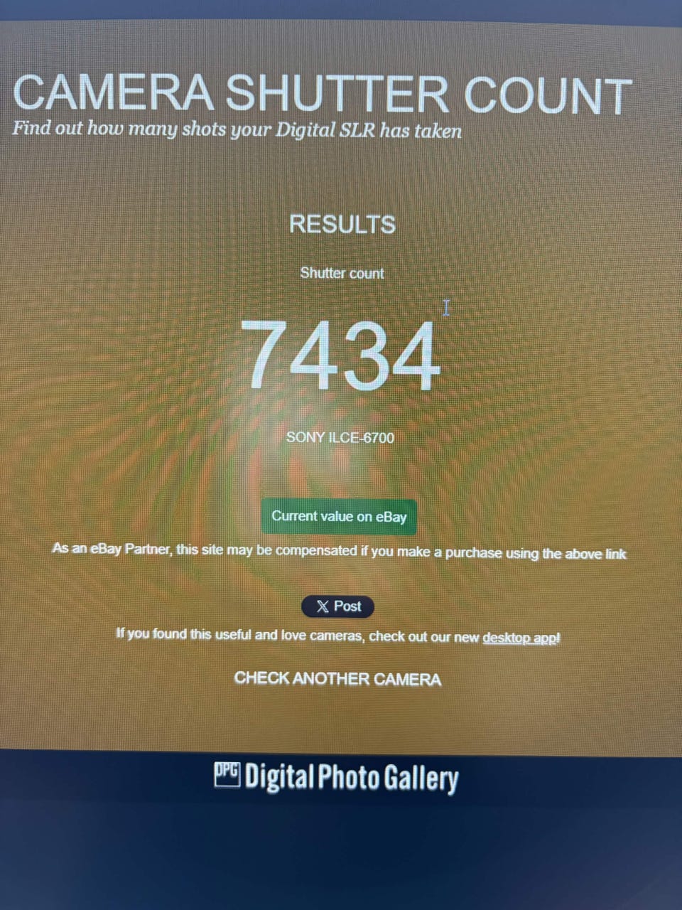 Galleribild