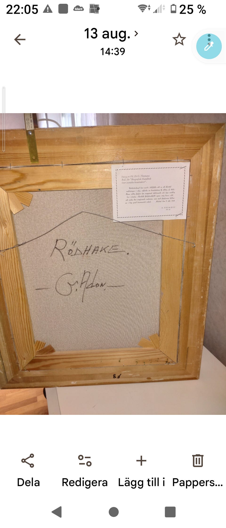 Galleribild