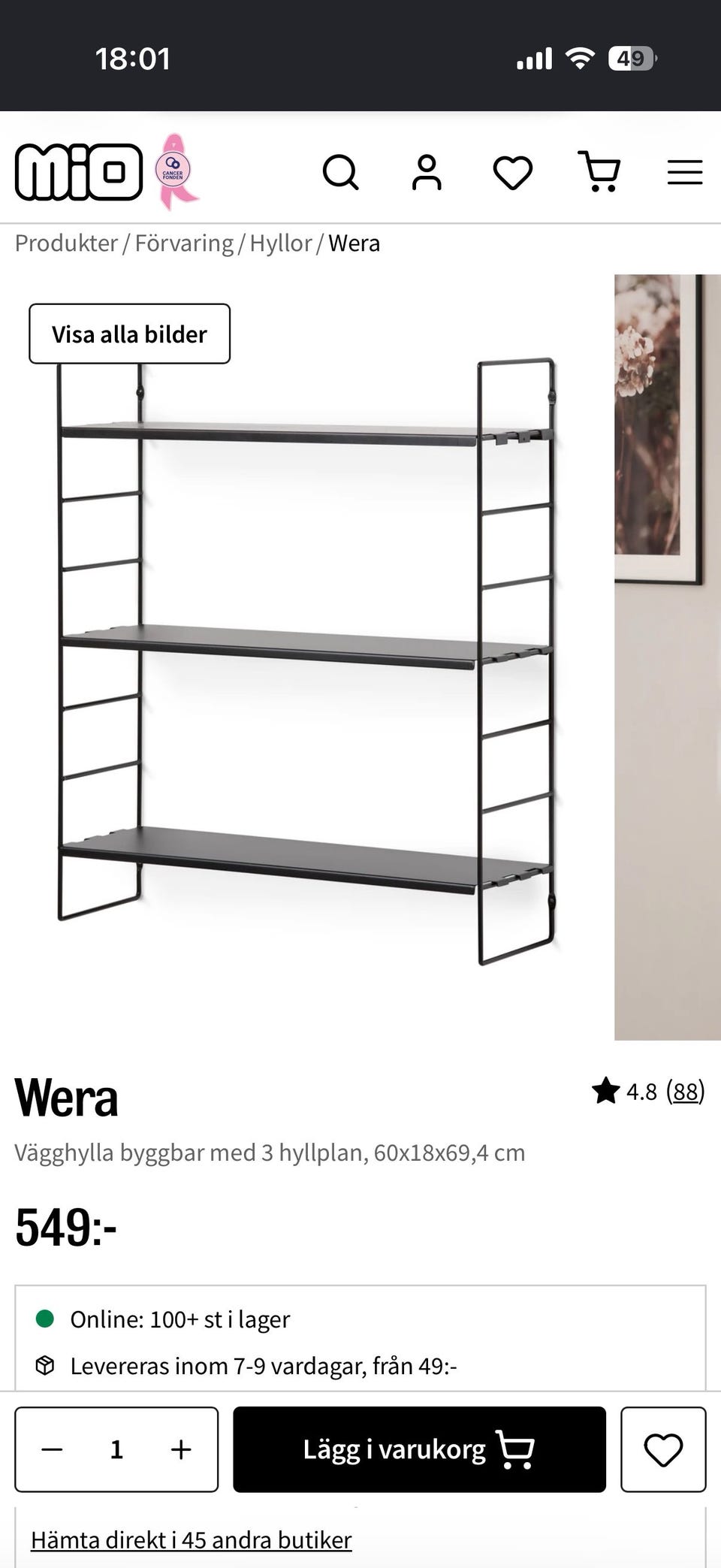 Galleribild
