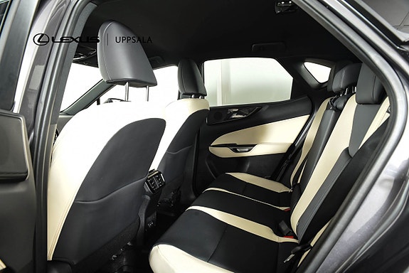 Lexus NX450h+ 6 of 15