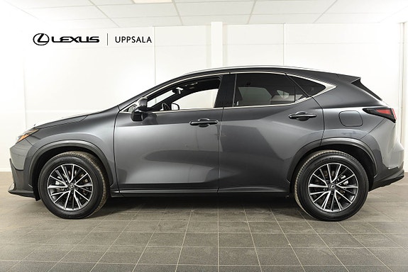 Lexus NX450h+ 2 of 15