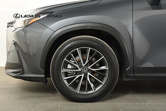 Lexus NX450h+ 14 of 15