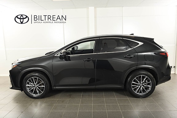 Lexus NX450h+ 2 of 20