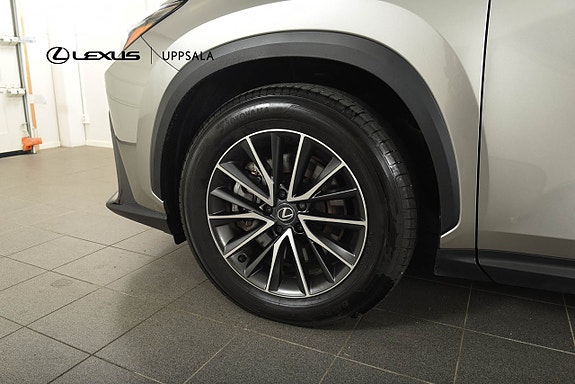 Lexus NX450h+ 21 of 22