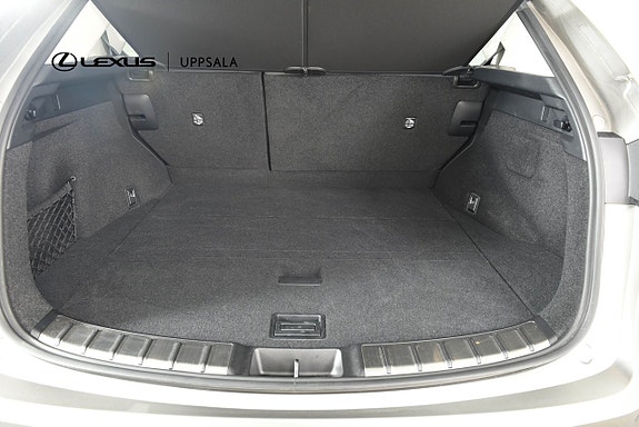 Lexus NX450h+ 10 of 19