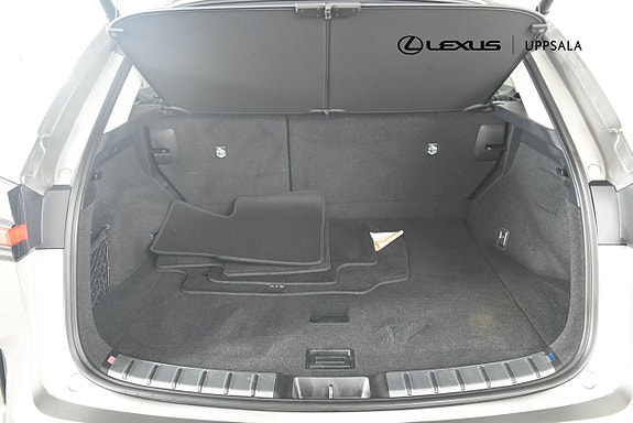 Lexus NX450h+ 10 of 20
