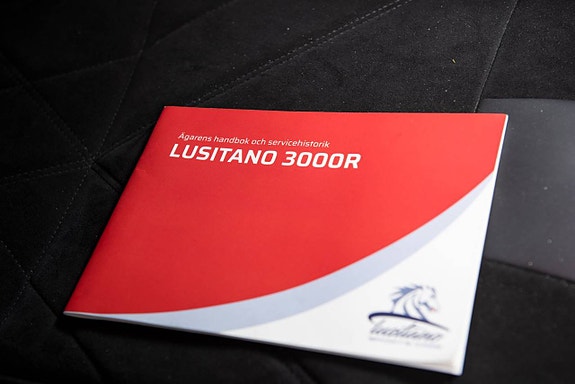 Indigo Lusitano 15 of 25