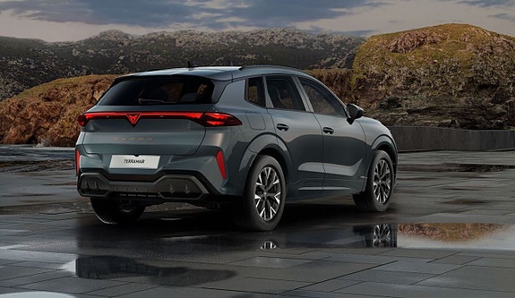 Cupra Terramar 10 of 14