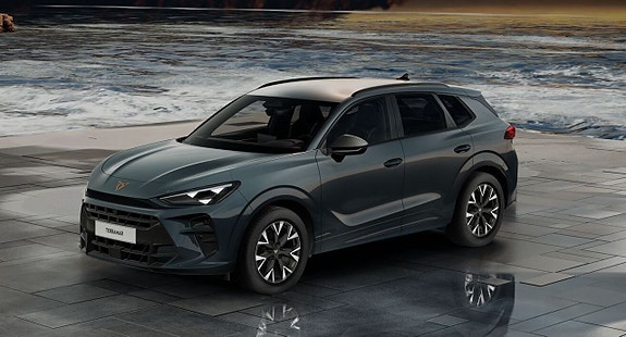 Cupra Terramar 9 of 14