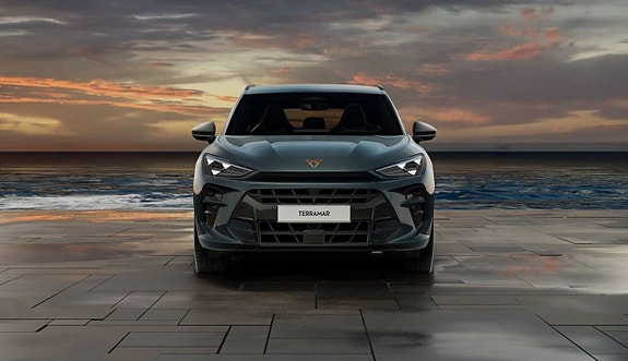 Cupra Terramar 8 of 14