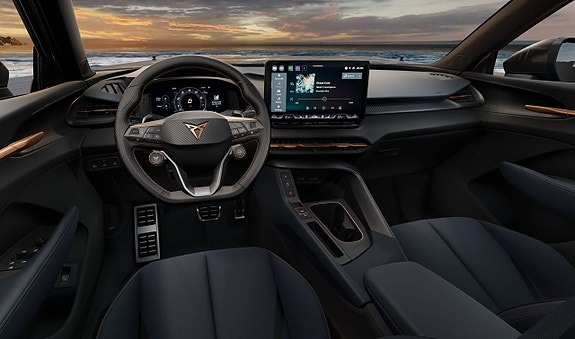 Cupra Terramar 12 of 14