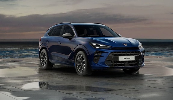 Cupra Terramar 5 of 5