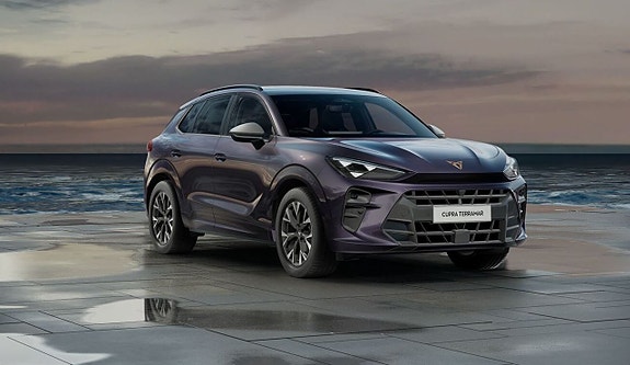 Cupra Terramar 4 of 5