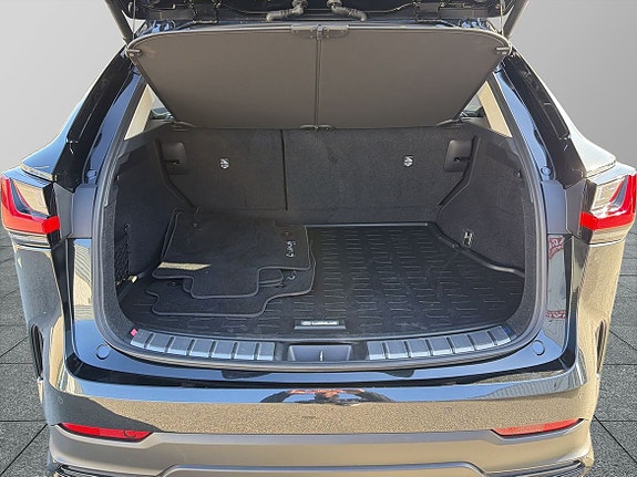 Lexus NX450h+ 11 of 24