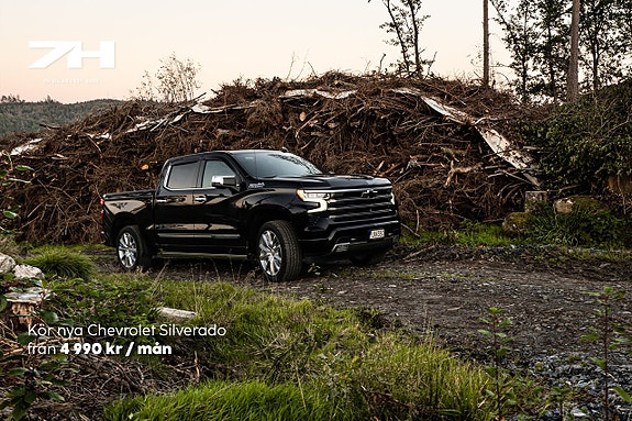 Chevrolet Silverado 1500 11 of 30